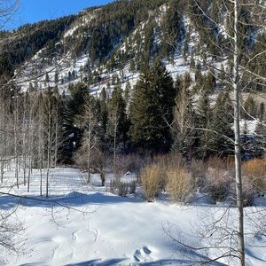 Meet your Posher, Cristina